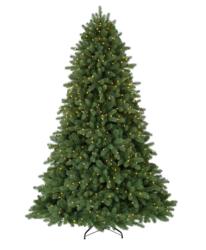 Classic Noble Fir Christmas Tree